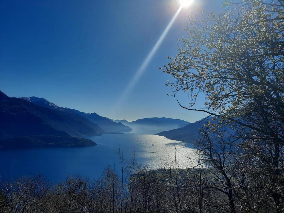 Fantastic Lake Como Apartment 穆索 外观 照片